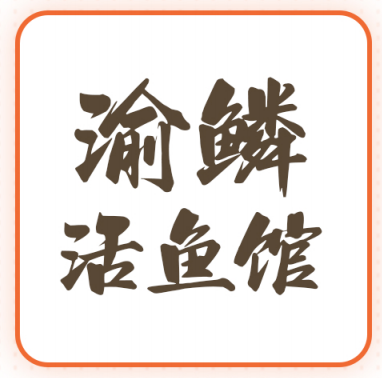 品牌12